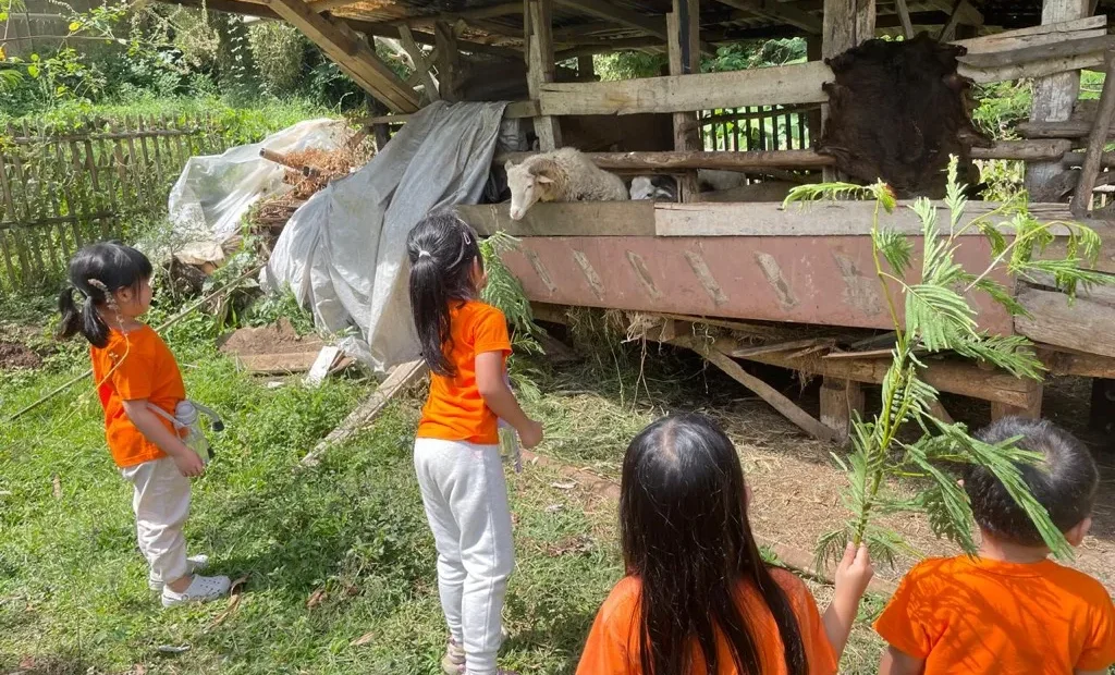 Tidur Cukup: Fondasi Tumbuh Kembang Anak
