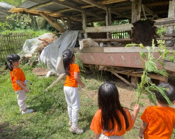 Tidur Cukup: Fondasi Tumbuh Kembang Anak