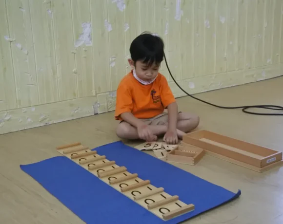 🔍 Kenapa Anak Terobsesi Semut & Kerikil? (Periode Sensitif)